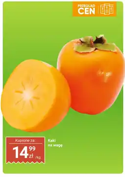 Dino Kaki na wagę Dino oferta