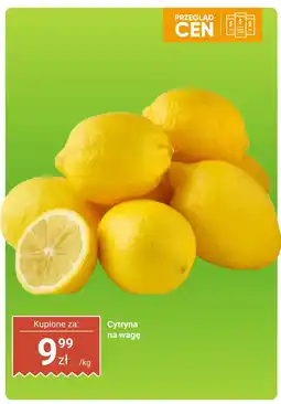 Dino Cytryna na wagę Dino oferta