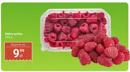 Dino Malina polska 250 g Dino oferta