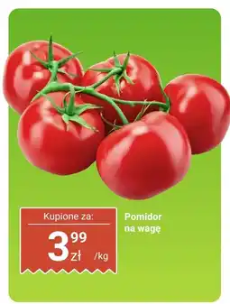 Dino Pomidor na wagę Dino oferta