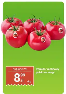 Dino Pomidor malinowy polski na wagę Dino oferta