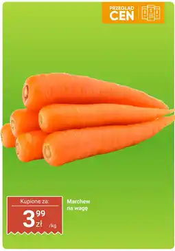 Dino Marchew na wagę Dino oferta