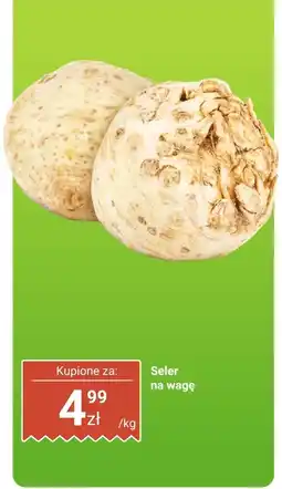 Dino Seler na wagę Dino oferta