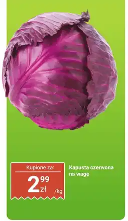 Dino Kapusta czerwona na wagę Dino oferta