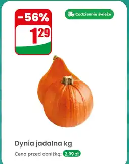 Dino Dynia jadalna kg Dino oferta