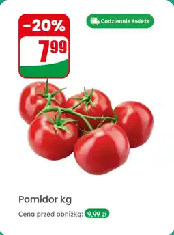 Dino Pomidor kg Dino oferta