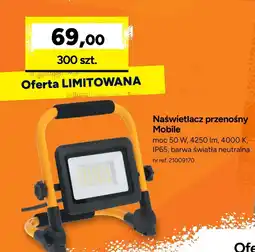 Bricoman Naświetlacz Barwa oferta