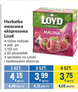 Makro Herbata owocowa Loyd oferta