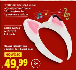 Lidl Opaska na uszy oferta