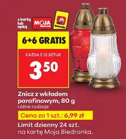 Biedronka Znicz Biedronka oferta