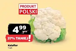 Netto Kalafior Polski oferta