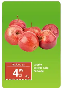 Biedronka Jabłko polskie Gala na wagę Biedronka oferta