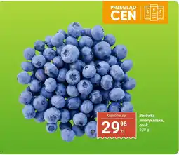 Biedronka Borówka amerykańska 500 g Biedronka oferta