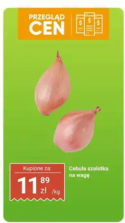 Biedronka Cebula szalotka na wagę Biedronka oferta