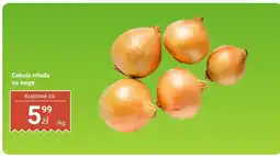 Biedronka Cebula młoda na wagę Biedronka oferta