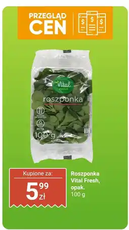 Biedronka Roszponka Vital Fresh oferta