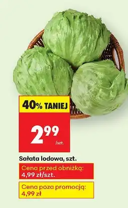 Biedronka Sałata lodowa 1 szt. Biedronka oferta