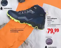 Lidl Buty trekkingowe rozm. 37-41 Crivit oferta