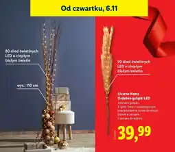Lidl Gałązki ozdobne led 110 cm Livarno Home oferta