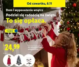 Lidl Kalendarz adwentowy filcowy Livarno Home oferta