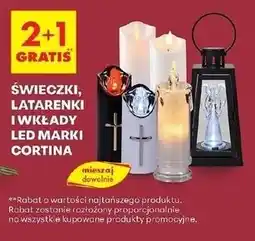 Biedronka Wkład led Cortina oferta