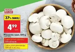 Biedronka Pieczarki polska oferta