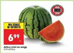 Biedronka Arbuz mini oferta