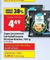 Biedronka Zupa jarzynowa Mroźna Kraina oferta