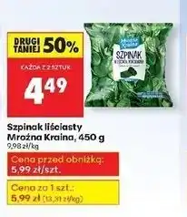 Biedronka Szpinak w liściach Mroźna Kraina oferta