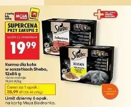 Biedronka Karma dla kota smaki drobiowe w galaretce Sheba Delicacy In Jelly oferta
