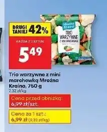 Biedronka Trio warzywne Mroźna Kraina oferta