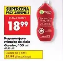 Biedronka Mleczko regenurujące skóra bardzo sucha Garnier Body oferta