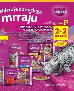 Biedronka Karma dla kota kremowe wariacje Whiskas Tasty Mix oferta