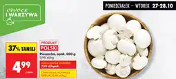 Biedronka Pieczarka oferta