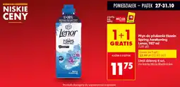 Biedronka Płyn do płukania tkanin Spring Awakening oferta