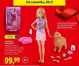 Lidl Lalka z kotkiem Barbie oferta