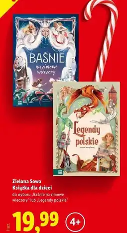 Lidl Baśnie na zimne wieczory Zielona Sowa oferta