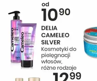 Sekret Urody DELIA CAMELFO SILVER oferta
