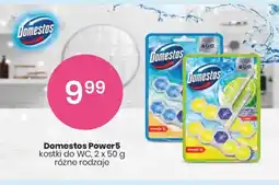 Sekret Urody Domestos Power5 oferta