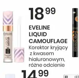 Sekret Urody EVELINE LIQUID CAMOUFLAGE oferta