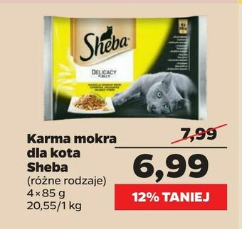 Netto Karma mokra dla kota Sheba oferta