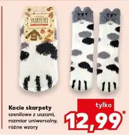 Kaufland Kocie skarpety oferta