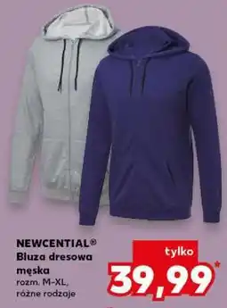 Kaufland NEWCENTIAL Bluza dresowa męska oferta