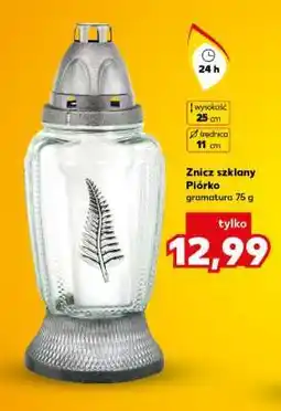 Kaufland Znicz szklany Piórko oferta