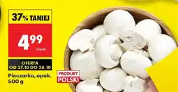 Biedronka Pieczarka opak 500 g oferta