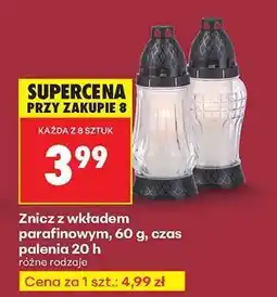 Biedronka Znicz z wkładem parafinowym 60 g czas palenia 20 h oferta