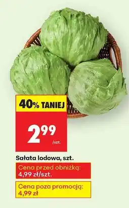Biedronka Sałata lodowa szt oferta