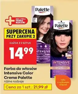Biedronka Intensive Color Creme Palette oferta