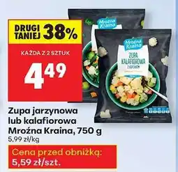Biedronka Zupa jarzynowa lub kalafiorowa Mroźna Kraina , 750 g oferta
