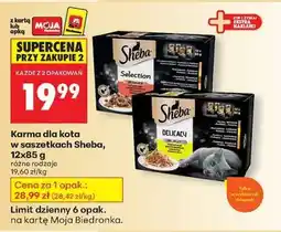 Biedronka Karma dla kota w saszetkach Sheba, 12x85 g oferta